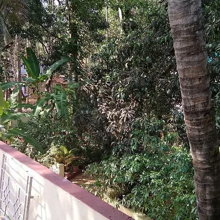 Palolem Apartments Exterior photo